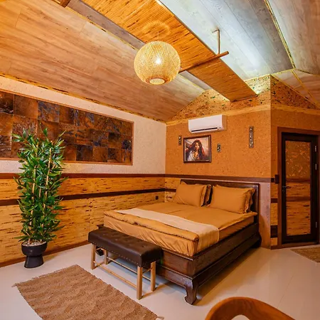 Cossara Luxury Guest house *